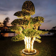 Projecteur extérieur pour arbres